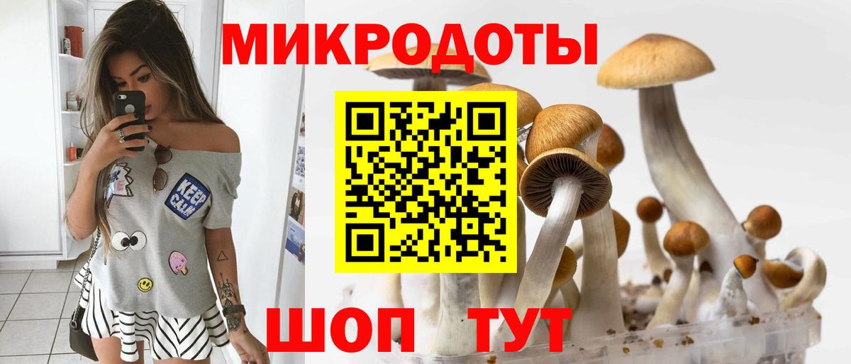 Зеленокумск  Галлюциногенные грибы GOLDEN TEACHER  купить наркоту  Вход с VPN 